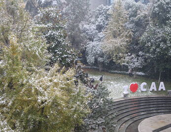 “书香校园”学术讲座|阁帖千载,宋韵流光——宋《淳化阁帖》琐谈