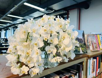 《从神话到现实——人文美学的心理结构》| “书香校园”经典阅读系列活动 ∙ 学术讲座