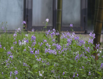 “书香校园”学术讲座|从剧作到舞台——当代先锋剧场艺术的变迁
