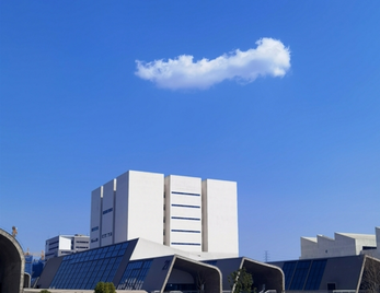 “书香校园”经典阅读系列活动∙艺术沙龙|《夜空中的那朵花——大师名作系列艺术沙龙》(第八讲)