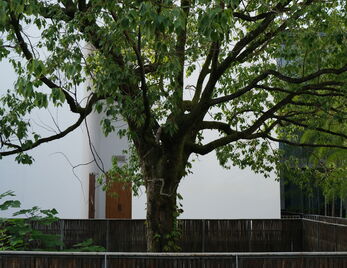 会议征文|不朽的遗产:黄宾虹与二十世纪中国美术