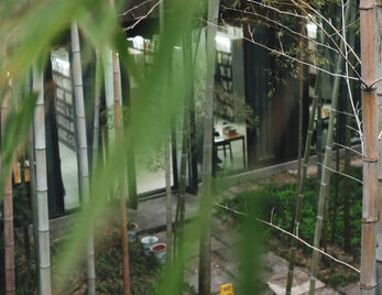 共塑心灵成长的绿洲——专业基础教学部二级心理辅导站挂牌暨图书馆专题分馆成立