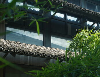 书法界“到民间去”的实践:从“碑学运动”到“现代书法”|“书香校园”经典阅读系列活动 ∙ 学术讲座