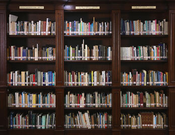 “书香校园”经典阅读系列活动∙艺术沙龙|《夜空中的那朵花——大师名作系列艺术沙龙》(第七讲)