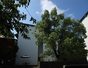 “书香校园”学术讲座|《本真与代理——艺术史与社会学的三次对话》