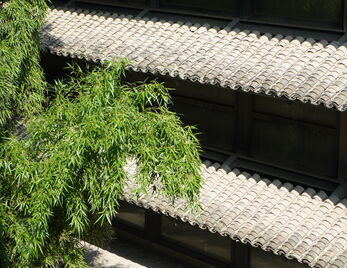 “书香校园”学术讲座|《语言与通天塔——艺海无涯译作舟》