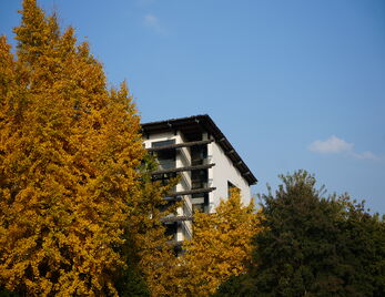 “书香校园”艺术沙龙|《夜空中的那朵花——大师名作系列艺术沙龙》(第六讲)