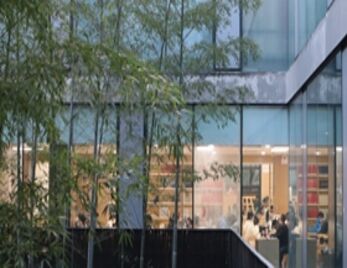 “书香校园”学术讲座|《观看与真实——贾科梅蒂艺术创作论》