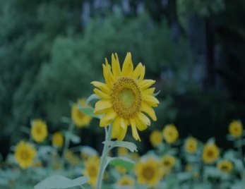 探寻智慧之光、开启阅读之旅——记2023图书馆新生导览活动