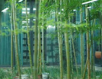 “书香校园”学术讲座|《“玻璃态”与多样媒介动态关系的临界实验》