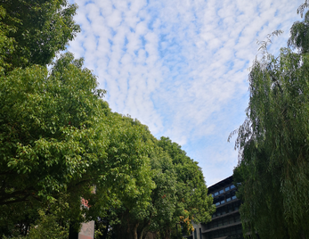 “书香校园”学术讲座|从艺术乡建项目到“国家传统村落公园”——以浙江松阳县后畲村的艺术乡建实践为案例